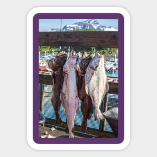 USA. Alaska. Valdez. Fish Catch. Sticker